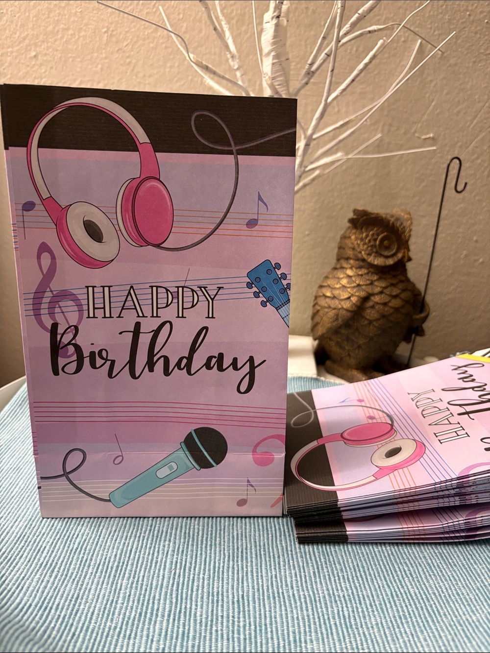 Happy Birthday Pink Music-Themed Gift Bags (Set) of 25